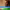 https://res.cloudinary.com/billionhands/image/upload/v1770535485/items/blgxpwhaioth15xfrmfb.jpg-1cover