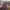https://res.cloudinary.com/billionhands/image/upload/v1770621924/items/bmhgtqk0drrkh4vyovib.webp-2cover