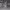 https://res.cloudinary.com/billionhands/image/upload/v1770708338/items/heswjmohtsm2g0cekuhq.jpg-3cover