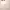 https://res.cloudinary.com/billionhands/image/upload/v1770708340/items/qwq0jykrwxaompj1qsmq.avif-1cover