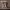 https://res.cloudinary.com/billionhands/image/upload/v1770708344/items/xbkmsk2nklyxryz9vpst.jpg-1cover