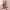 https://res.cloudinary.com/billionhands/image/upload/v1770721786/items/pndivjsrtel8rwp3na0g.png-0cover