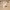 https://res.cloudinary.com/billionhands/image/upload/v1770721794/items/miq3tobldgsmyg4osyu5.jpg-1cover