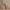 https://res.cloudinary.com/billionhands/image/upload/v1770721825/items/cyna6r2lwoqxo09o7y3y.webp-2cover