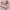 https://res.cloudinary.com/billionhands/image/upload/v1770721852/items/pmtee1jilaenpnpe1eyf.webp-3cover