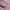 https://res.cloudinary.com/billionhands/image/upload/v1770721853/items/pswvayafozz6qtwvlmbc.webp-1cover