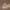 https://res.cloudinary.com/billionhands/image/upload/v1770721856/items/k8jnsy94wtvjezingwn2.webp-1cover