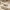 https://res.cloudinary.com/billionhands/image/upload/v1770721859/items/sm8imaxmkymm4uokc0u6.webp-3cover