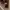 https://res.cloudinary.com/billionhands/image/upload/v1770721915/items/nsm9dzwitme5piwgn9je.png-0cover