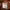 https://res.cloudinary.com/billionhands/image/upload/v1770721917/items/kx0bsnfasqfuaeynlgtr.webp-3cover