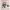 https://res.cloudinary.com/billionhands/image/upload/v1770744754/items/whc2y4ji3suzgdjlxxtp.jpg-2cover