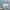 https://res.cloudinary.com/billionhands/image/upload/v1770744866/items/sly4giyfejswtim6dwni.webp-2cover