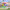 https://res.cloudinary.com/billionhands/image/upload/v1770744910/items/uakenodfmp5kxydnout0.jpg-3cover