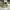https://res.cloudinary.com/billionhands/image/upload/v1770745101/items/odvoth4o2bcydz82ic7a.jpg-2cover