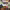 https://res.cloudinary.com/billionhands/image/upload/v1770745161/items/rlp3lwjnh3rucsgc1fpx.webp-2cover
