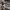 https://res.cloudinary.com/billionhands/image/upload/v1770745175/items/t4gnkydohgcvcht37k5x.jpg-2cover