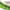 https://res.cloudinary.com/billionhands/image/upload/v1770745228/items/iktbkjq9mh4o7stn4z3r.jpg-2cover