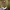 https://res.cloudinary.com/billionhands/image/upload/v1770745383/items/wvybjahhydnnc4qvonun.avif-2cover