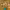 https://res.cloudinary.com/billionhands/image/upload/v1770745875/items/zhigzohdfgxfsxb7vn2p.jpg-2cover