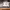 https://res.cloudinary.com/billionhands/image/upload/v1770745936/items/gnikflsqsofxa3dmqxq4.jpg-2cover