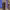 https://res.cloudinary.com/billionhands/image/upload/v1770745954/items/abglv65cgqranu5ygxss.webp-3cover
