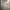 https://res.cloudinary.com/billionhands/image/upload/v1770758808/items/nvsonfeqmcxhucn5fhzy.jpg-3cover