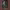 Motion of no confidence (2018) cover