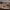 https://res.cloudinary.com/billionhands/image/upload/v1770794926/items/j4lbzyjj5bp198nnxf8l.jpg-0cover