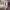 https://res.cloudinary.com/billionhands/image/upload/v1770794930/items/divejbsz0c5clwnagxyc.jpg-1cover