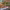 https://res.cloudinary.com/billionhands/image/upload/v1770794933/items/z6btrqv7wajnqsmdxcf5.jpg-2cover