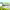 https://res.cloudinary.com/billionhands/image/upload/v1770795008/items/yc8hj3mdgo8whqrnyxl4.webp-2cover