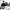 https://res.cloudinary.com/billionhands/image/upload/v1770795334/items/gvdcqedllo617wivwxav.jpg-2cover