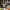https://res.cloudinary.com/billionhands/image/upload/v1770822676/items/fe3do8jrx0wo1orxohtf.webp-3cover