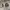 https://res.cloudinary.com/billionhands/image/upload/v1770822691/items/qidrrubb2rlefjfaczdk.jpg-2cover