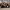 https://res.cloudinary.com/billionhands/image/upload/v1770822699/items/sedzq3w32jsvqhhsmxzm.jpg-2cover