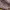 https://res.cloudinary.com/billionhands/image/upload/v1770822705/items/mbmrib69zy36rdttvlue.jpg-1cover