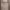 https://res.cloudinary.com/billionhands/image/upload/v1770822707/items/abxovv189o0ttxq7ovk3.jpg-1cover