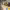 https://res.cloudinary.com/billionhands/image/upload/v1770822762/items/m8gzqjf7oyd2hbkdv5ly.jpg-3cover