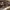 https://res.cloudinary.com/billionhands/image/upload/v1770822767/items/slhmqt4a8r3iqa6mhohh.webp-3cover