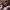 https://res.cloudinary.com/billionhands/image/upload/v1770822772/items/klf266wrdiycpoq7wqag.jpg-0cover