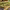 https://res.cloudinary.com/billionhands/image/upload/v1770822787/items/idwgpf2lehoq5kbbyyon.jpg-1cover