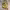 https://res.cloudinary.com/billionhands/image/upload/v1770822791/items/k8cth9vn8fsnicgyblnc.jpg-2cover