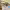 https://res.cloudinary.com/billionhands/image/upload/v1770822792/items/lmnd2evwobnocs52t4qj.webp-2cover