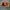 https://res.cloudinary.com/billionhands/image/upload/v1770822792/items/yw2ujxfjyutqutqdwak2.jpg-3cover