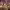 https://res.cloudinary.com/billionhands/image/upload/v1770822794/items/cx0c6fg4lpft0e6acqil.jpg-3cover