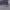 https://res.cloudinary.com/billionhands/image/upload/v1770822794/items/mmnfudvfpyvguggwdgur.jpg-1cover