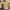 https://res.cloudinary.com/billionhands/image/upload/v1770822795/items/iniqx9tyued1nrleayae.jpg-1cover