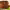https://res.cloudinary.com/billionhands/image/upload/v1770822796/items/iw8qcusw5jkisch7nbze.jpg-3cover