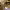 https://res.cloudinary.com/billionhands/image/upload/v1770822798/items/dzpa9h8ioqwc7zcsrfya.jpg-2cover