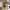 https://res.cloudinary.com/billionhands/image/upload/v1770822804/items/dhpjn8ippqebqgk2qbx6.jpg-2cover